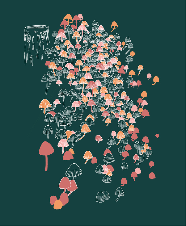 Forest Mushroom Magic
