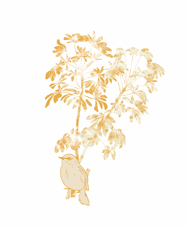 Barranco Tree with Bird