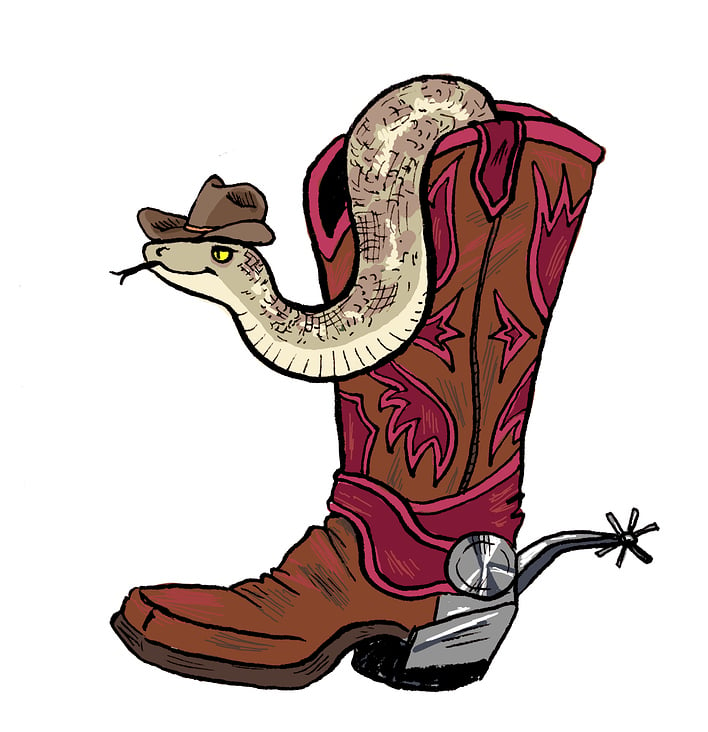 Vignette/Icon There’s a snake in my boot!