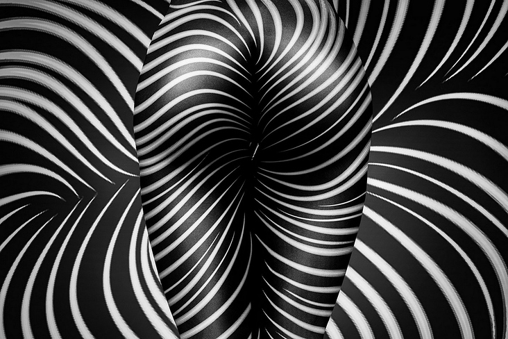 Zebra Nude Art – Fine Art – Aktfotografie-Kunst in schwarzweiß