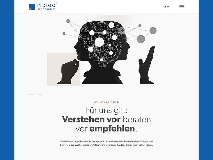indigo website-2020 004
