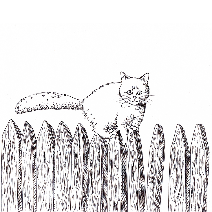 Katze auf einem Zaun (Fineliner Skizze)