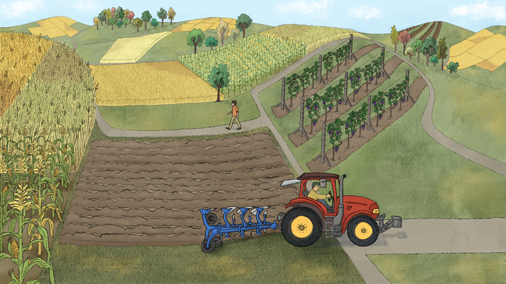 Landwirtschaftsszene heute (Neckar- und Taubergäuplatten)