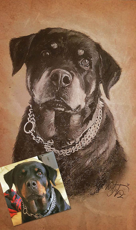 Handgemaltes Rottweiler Porträt in Kohle und Bleistift auf Pergamentpapier