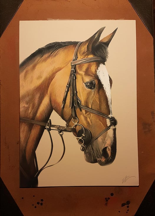 Handgemaltes Pferdeporträt mit Prismacolors (Buntstiften) auf Künstlerpapier