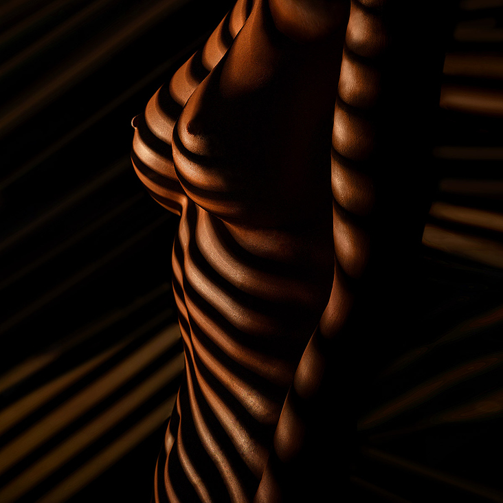 Licht und Schatten (Aktfotos am Fenster – Zebraeffekt Aktbild – Erotikshooting – Aktshooting)