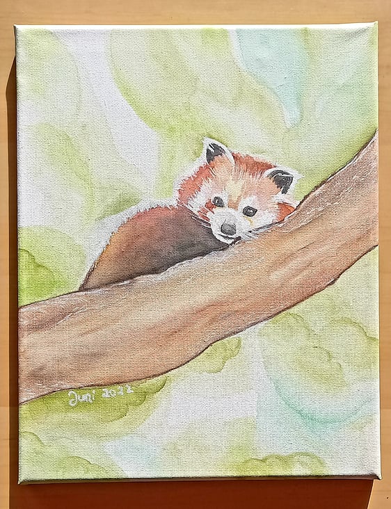 Red Panda