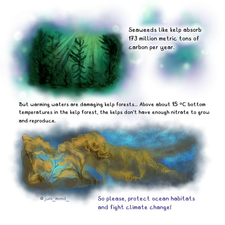 Blue Forests Teil 2