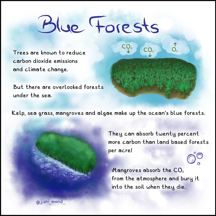 Blue Forests