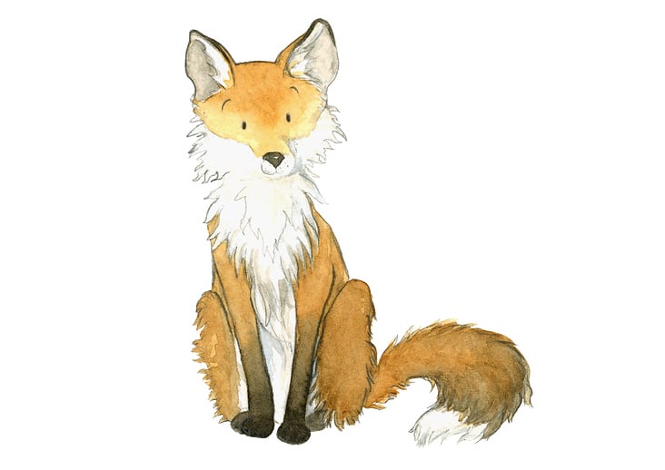 Fuchs