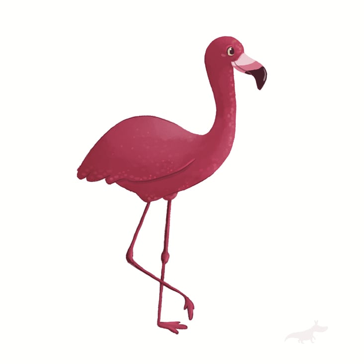 pink flamingo