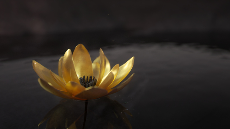 Lotus