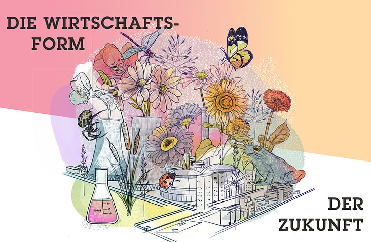 Illustrationen für die Ausgabe Nachhaltig leben in|pact media GmbH