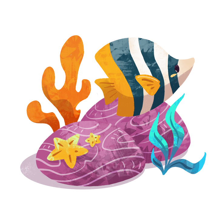 Spot Illustration – Fisch