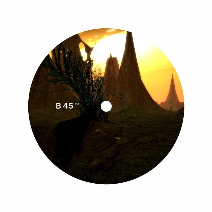 Labeldesign of SIDE B for EPIPHANIES ON TOOTH 337 – LP-artwork in progress