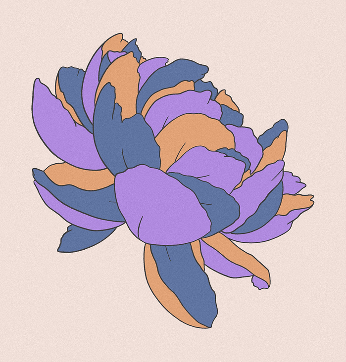 Illustration „Bloom“