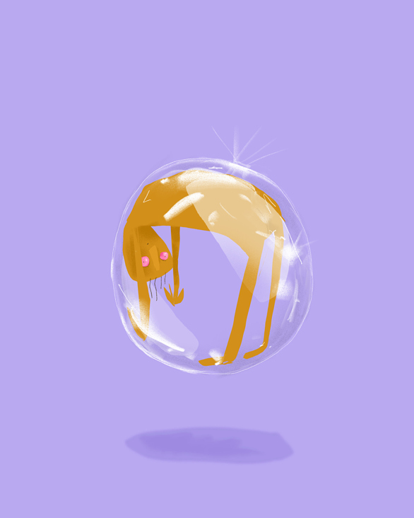 Guy in a bubble