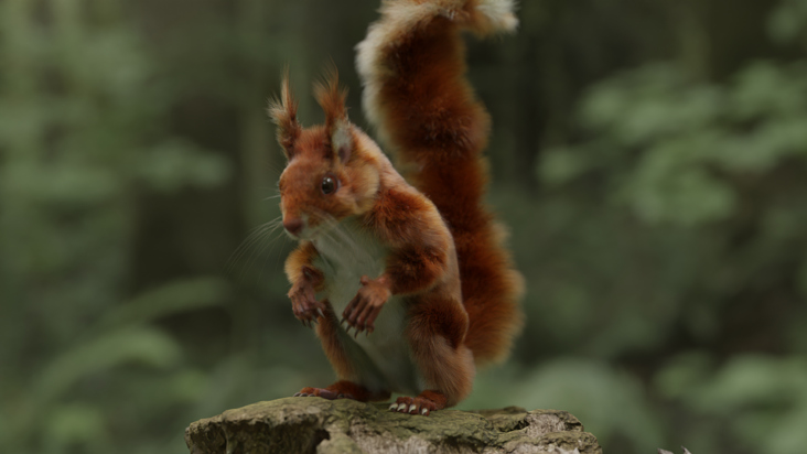 Animierbares Eichhörnchen-3D-Modell (Kunde: AnomalyVideo, für AffinitySteel Superbowl Ads)