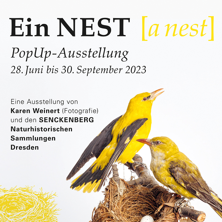 Ein NEST [a nest]