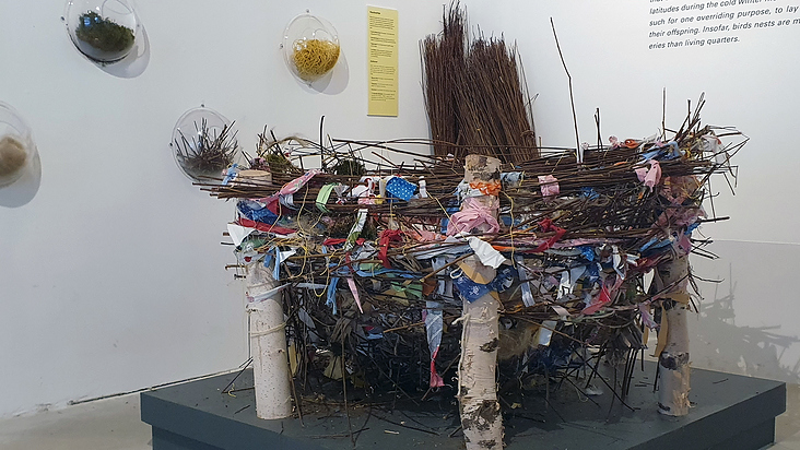 Nest zum Mitbauen