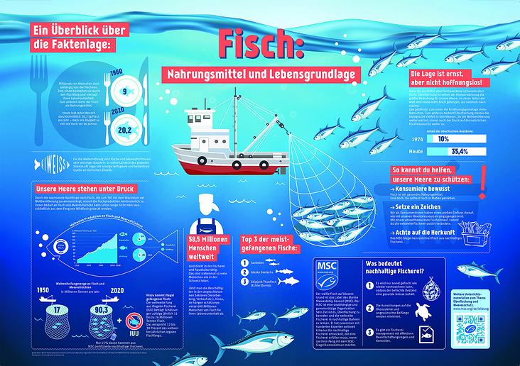 Infografiken für ein Poster über den Fischfang. Marine Stewardship Council