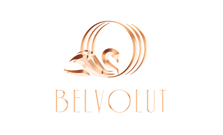 Belvolut – Naming und Logo-Design, Hamburg 2022
