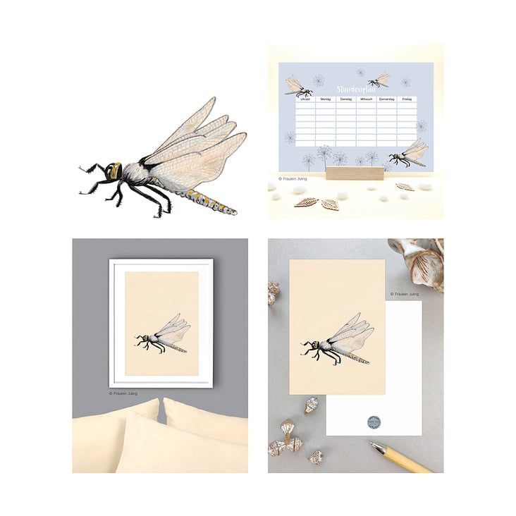 Produkt Illustration und Design „Libelle“