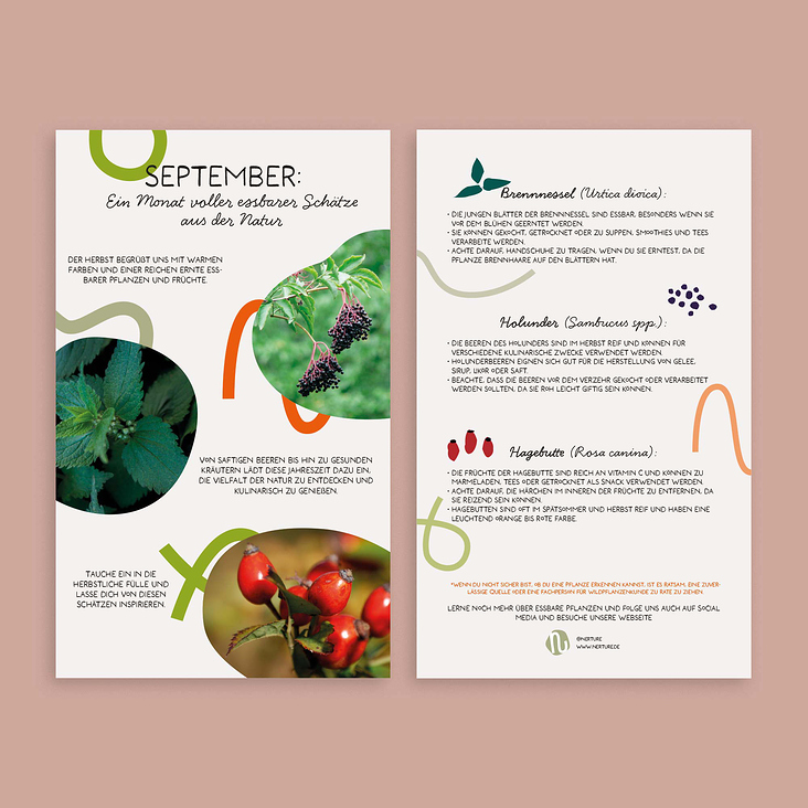 Flyer zum Thema „essbare Natur im September“