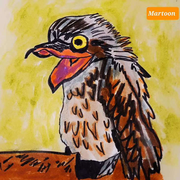 Septembird 23 – Tag 1 – Vogel:Potoo.
