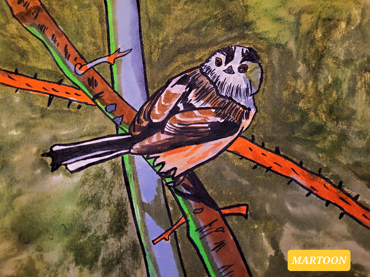 Septembird 23 – Tag 12 – Vogel:Long-tailed Tit.