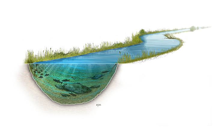 Gewässer-Querschnitt, Pixel-Illustration