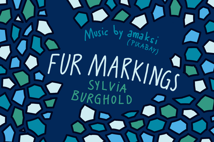 „Fur markings“ – Festivalbeitrag Shcha7sec