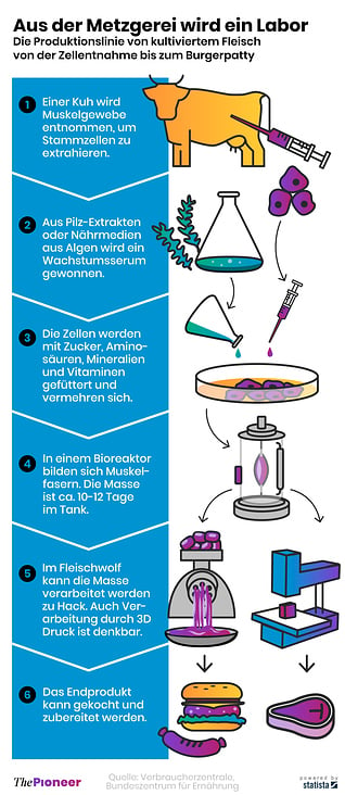 Fleisch aus dem Labor