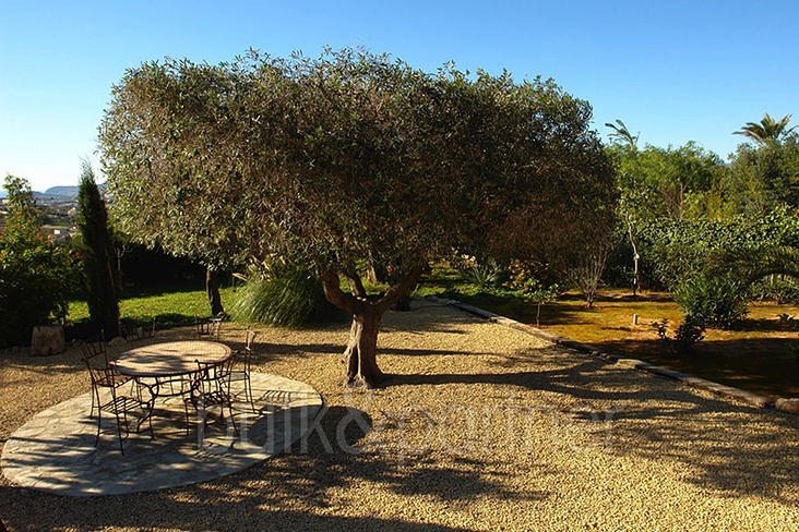 Finca de piedra en Benissa