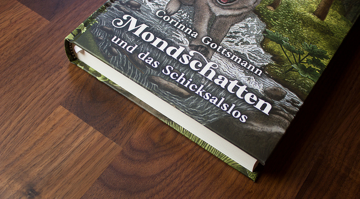 Buchcover – Mondschatten und das Schicksalslos von Corinna Gottsmann