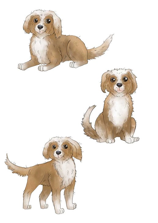 Kinderbuch Illustration Hund Max