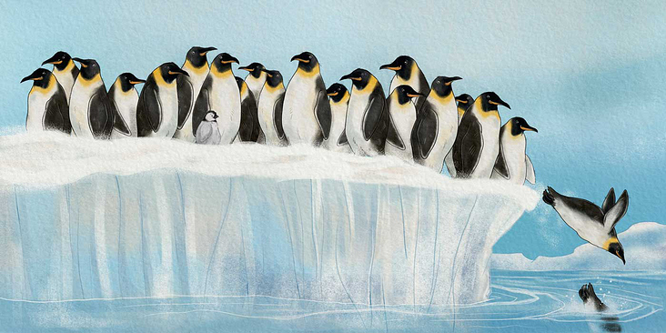 Ein kleiner Pinguin erlebt ein spannendes Abenteuer, privates Bilderbuch
