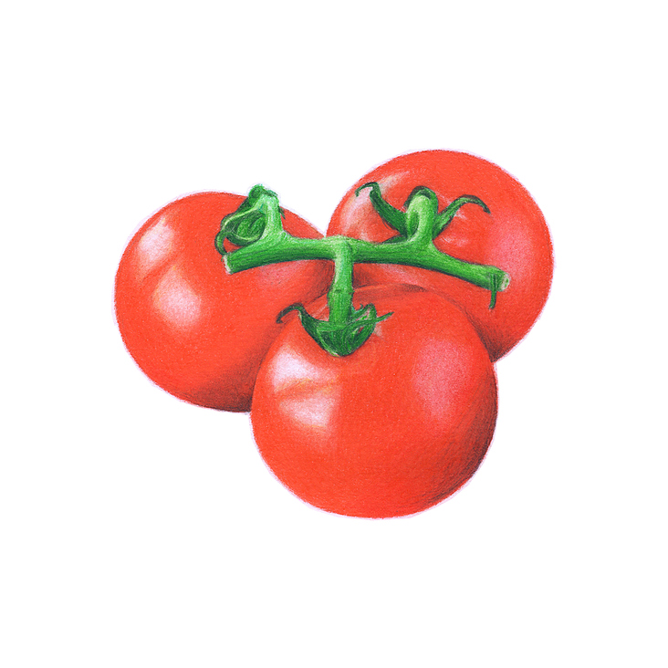 Tomaten