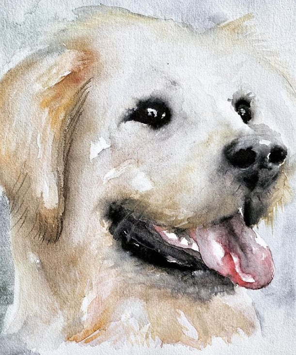 Golden Retriever – Aquarell auf Echt-Bütten Aquarellkarton