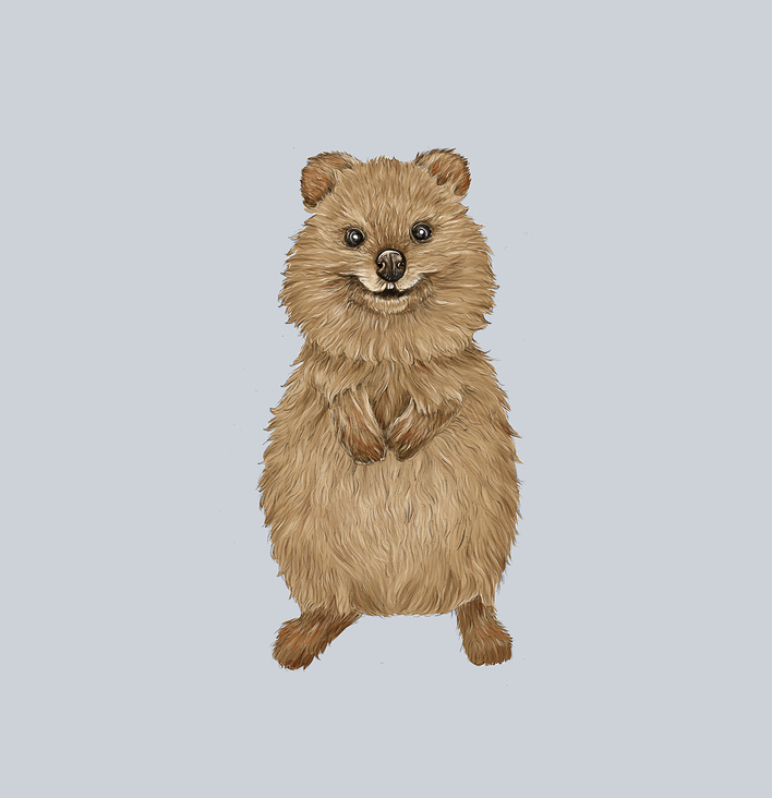 Quokka- the happiest animal in the world