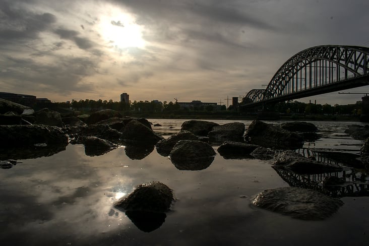 Der Rhein an den Poller Wiesen in Köln