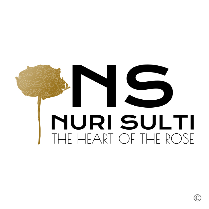 NS NURI SULTI Logo
