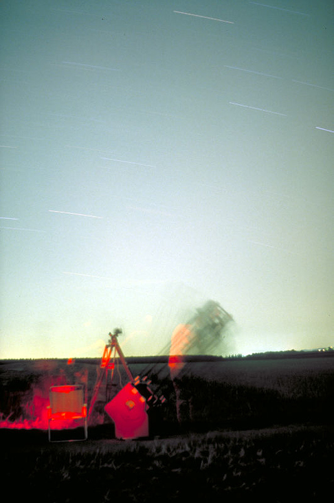 Sterngucker auf dem Oermter Berg