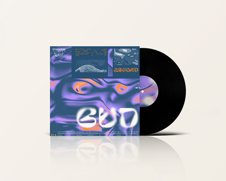 Vinyl Cover – 3D Animation