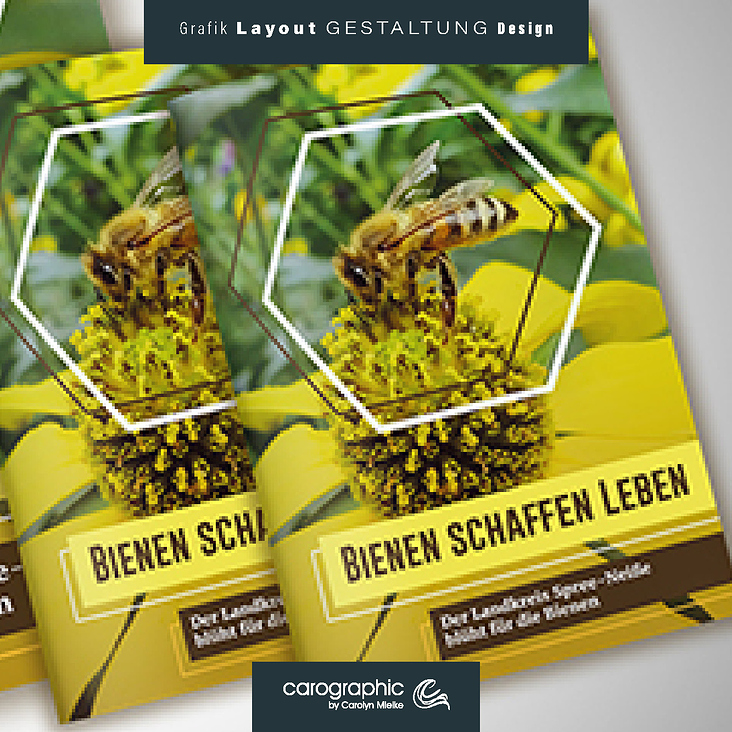 Fotos & Layout – Bienen Broschüre Spree-Neiße Werbung layout Gestaltung Grafik Print Design Messe Katalog Broschüre Illustr