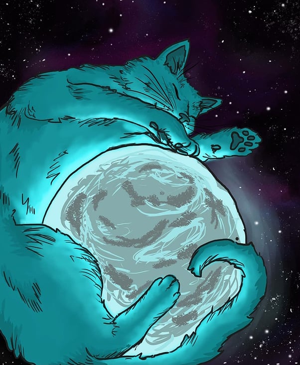 Space cat