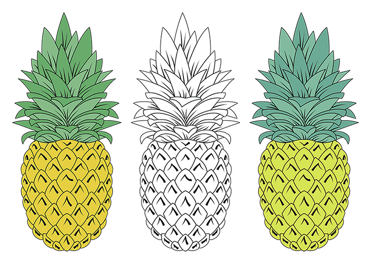Vektorgrafik – Ananas