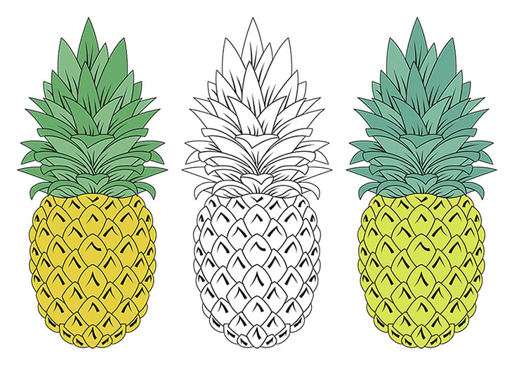 Vektorgrafik – Ananas