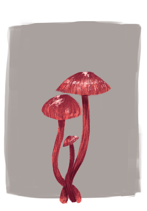 Mushrooms, drawn in Procreate