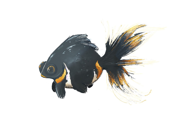 Goldfish, drawn in Procreate